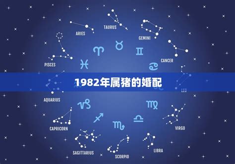 1982属相